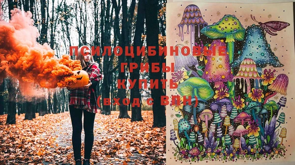 спиды Липки