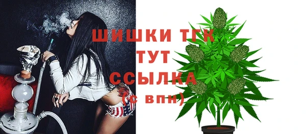 прущий лед Магас