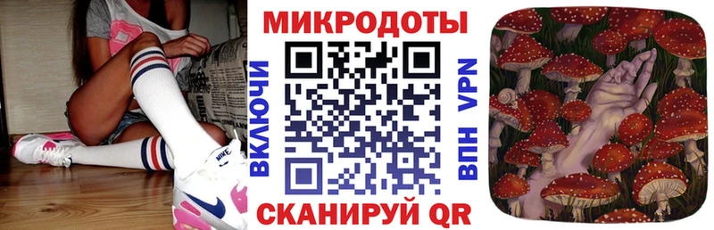 где найти наркотики Кувшиново Галлюциногенные грибы MAGIC MUSHROOMS